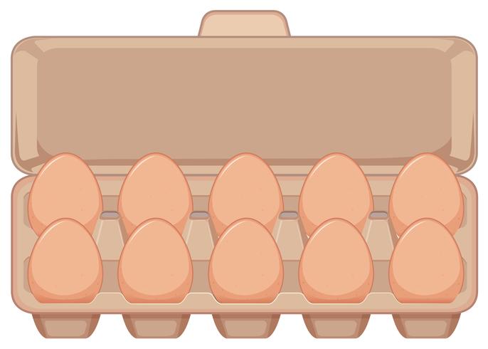 Isolerat ägg i kartong vektor