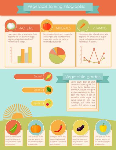 Gemüse Infographik Set vektor