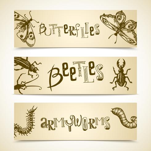 Insekter banner set vektor