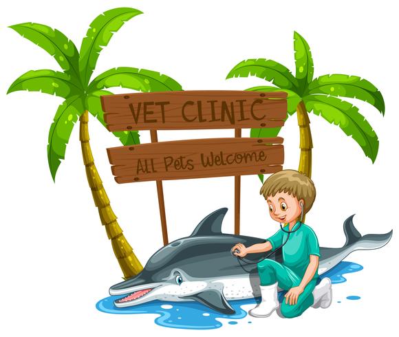 Ein Vet Doctor Checkup Dolphin im Zoo vektor