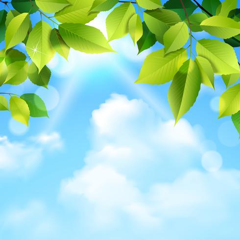 Wolken und Blätter Hintergrund vektor