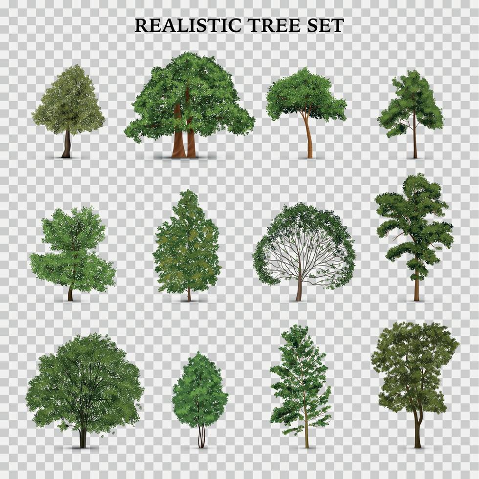 realistische Bäume transparentes Set vektor