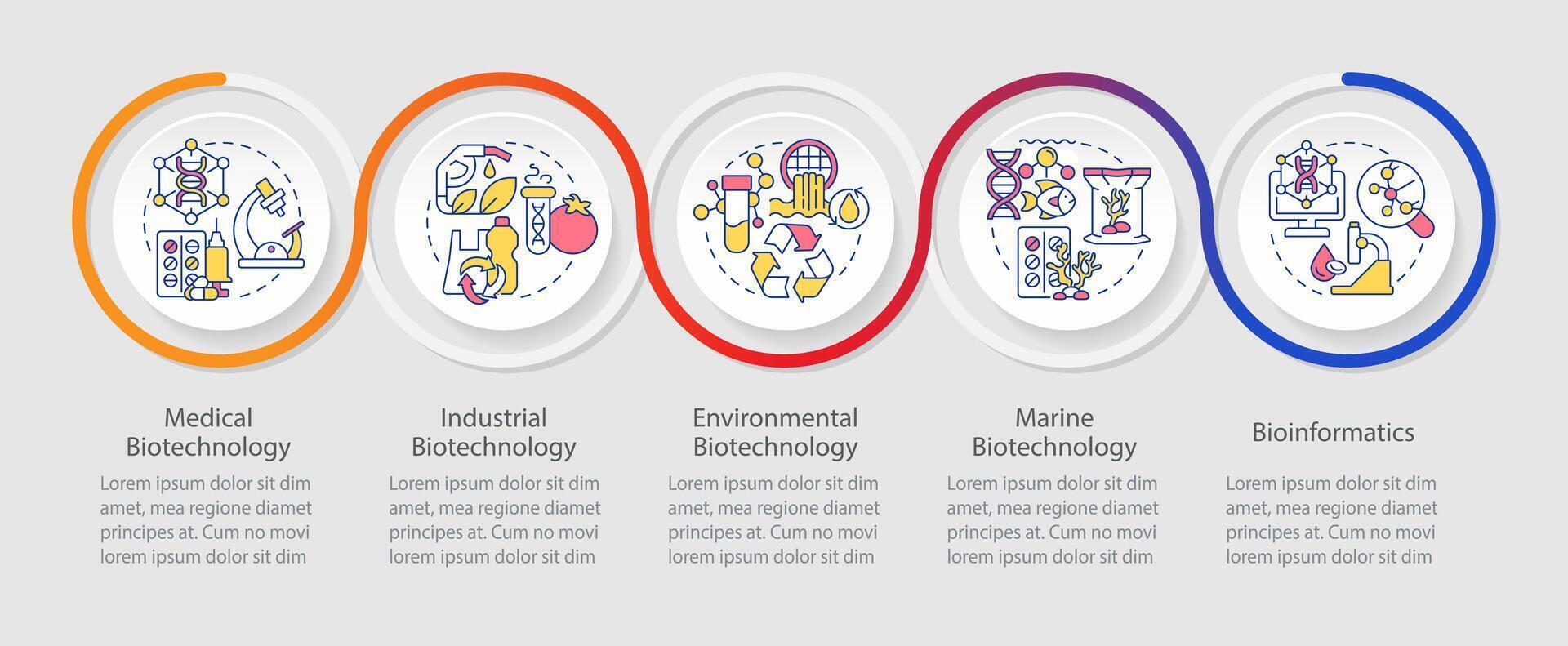 Typen von Biotechnologie Schleife Infografik Vorlage. wissenschaftlich Felder. Daten Visualisierung mit 5 Schritte. editierbar Zeitleiste die Info Diagramm. Arbeitsablauf Layout mit Linie Symbole vektor