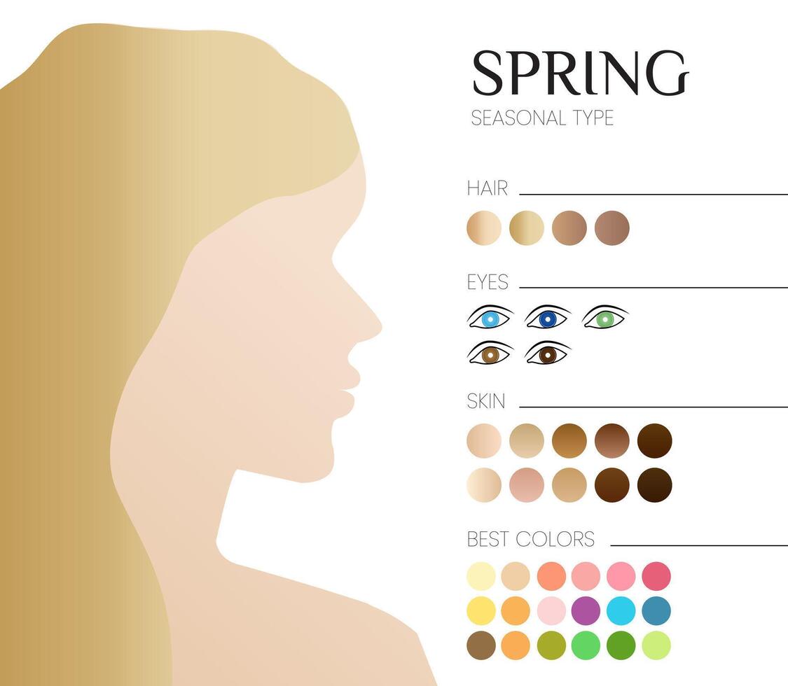 säsong- Färg analys för vår typ. illustration med kvinna vektor