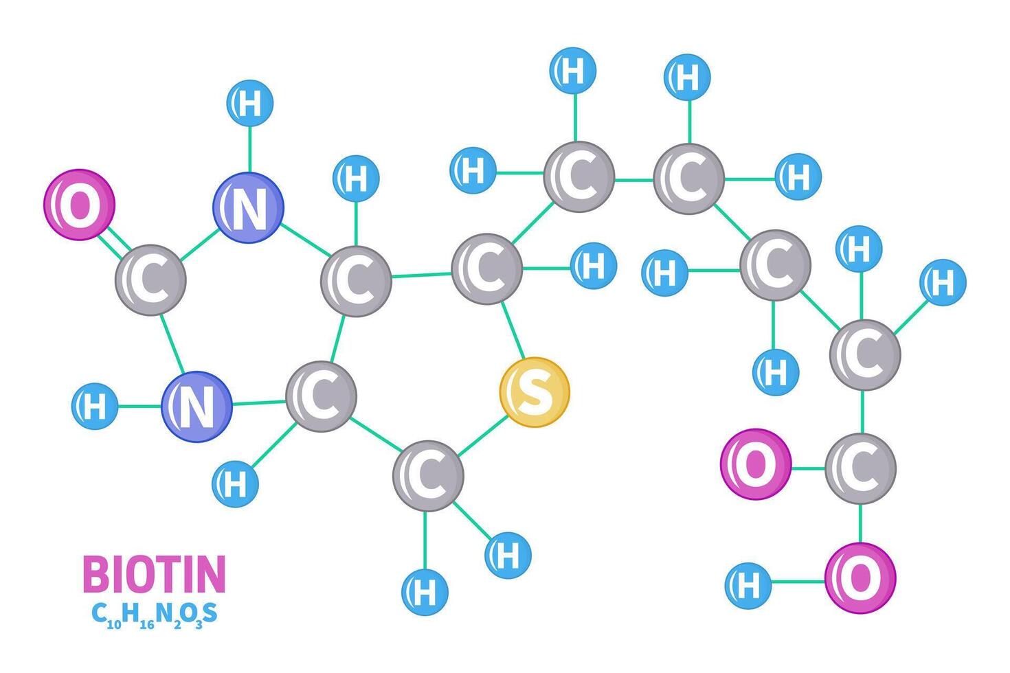 Biotin Vitamin b7 Molekül Struktur Formel Illustration vektor
