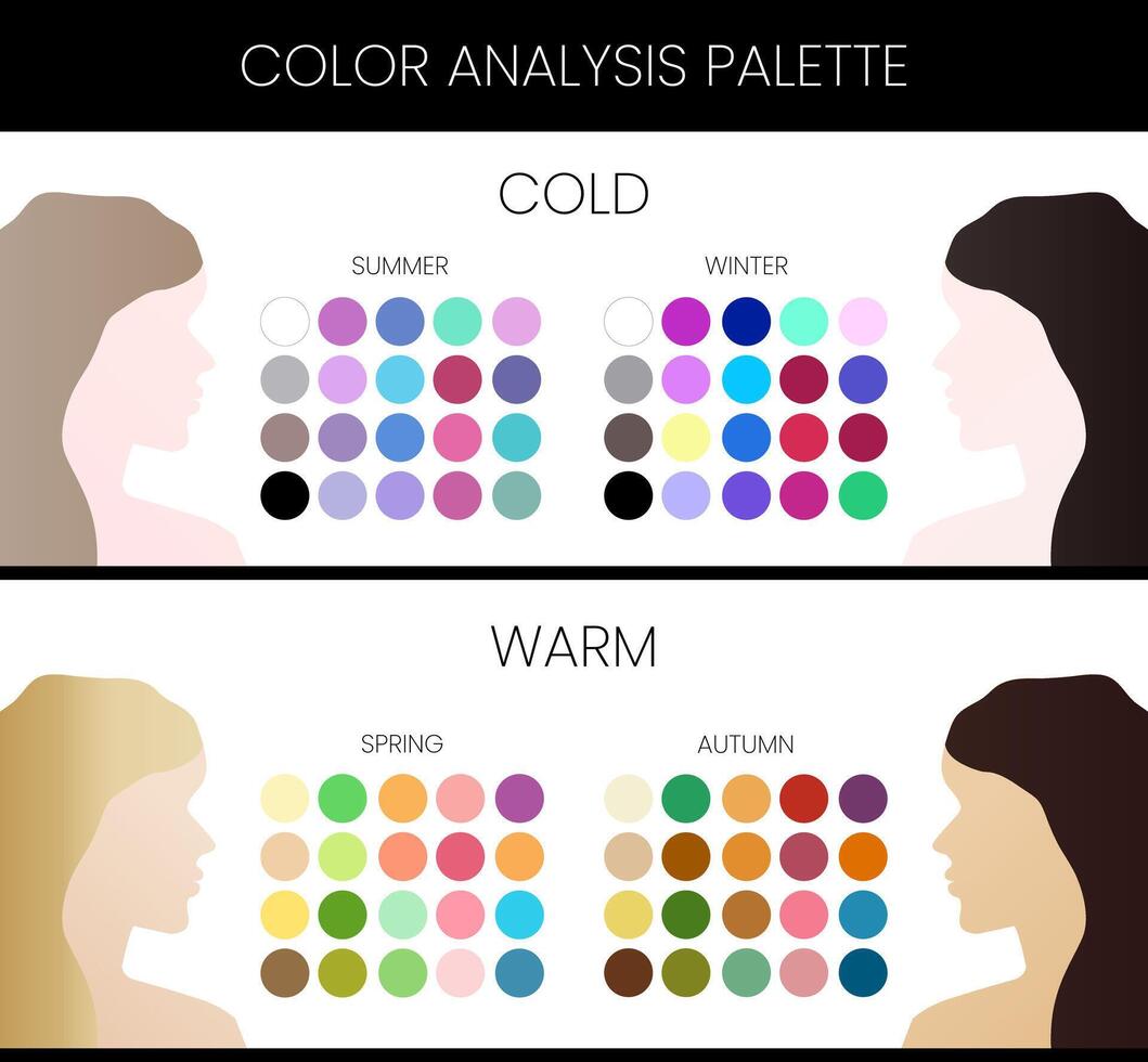 saisonal Farbe Analyse Diagramm zum Bild Berater mit Winter, Sommer, Frühling und Herbst Typen vektor