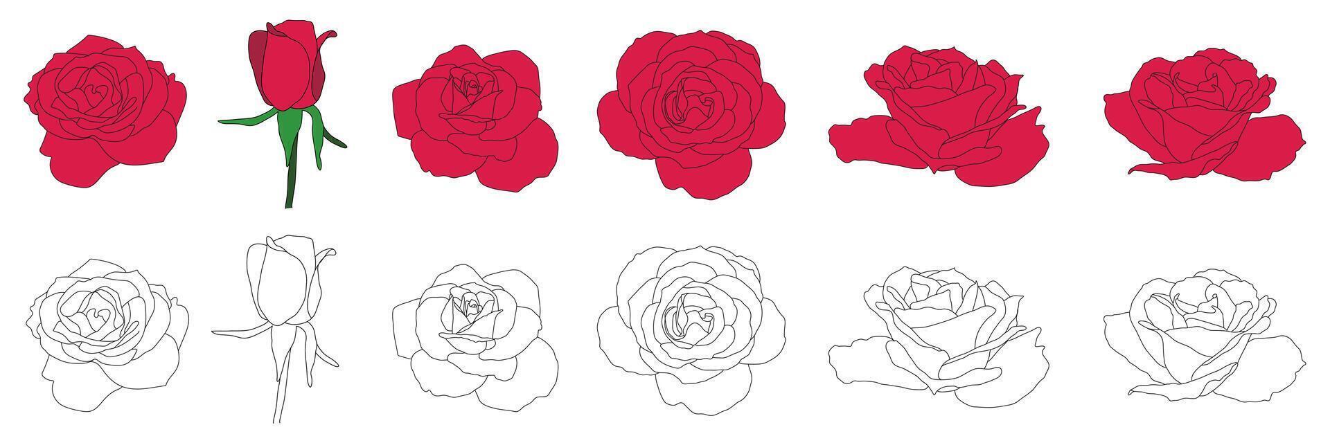 rot Rose und Gliederung Blume Illustration Satz. isoliert Sammlung auf Weiß Hintergrund vektor