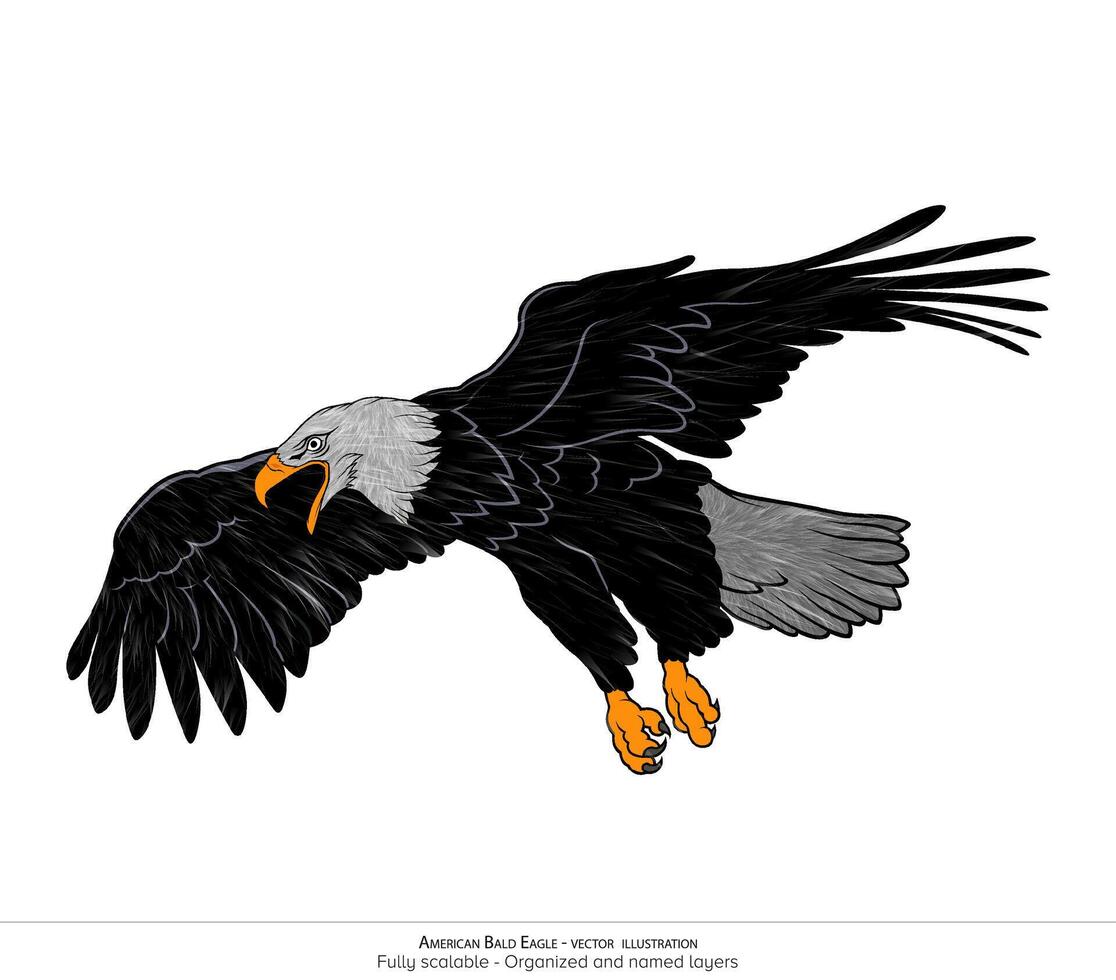 realistisk amerikan skallig Örn illustration - skiktad och organiserad med detaljerad päls vektor