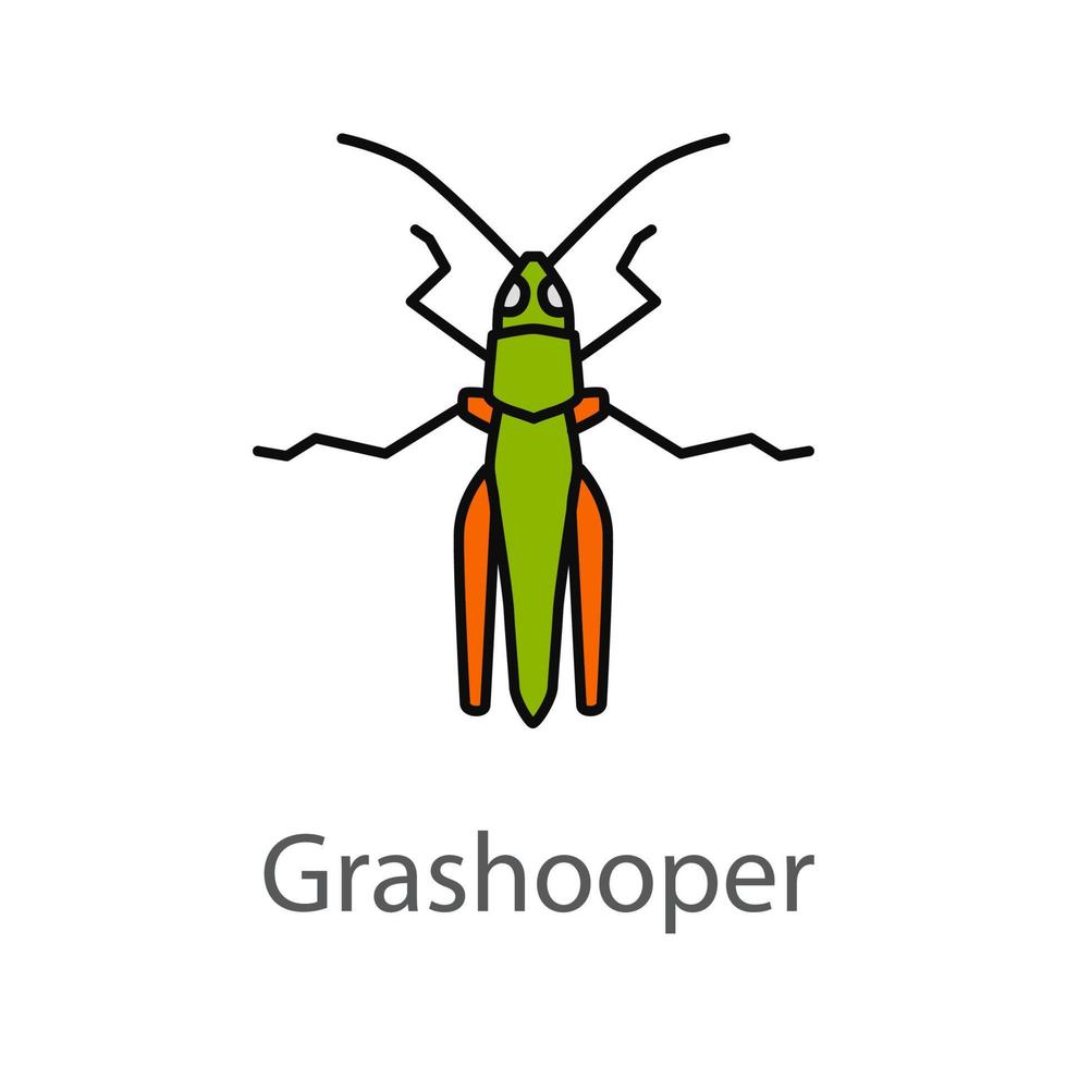 gräshoppa färgikon. skadeinsekter. gräshoppor. isolerade vektor illustration