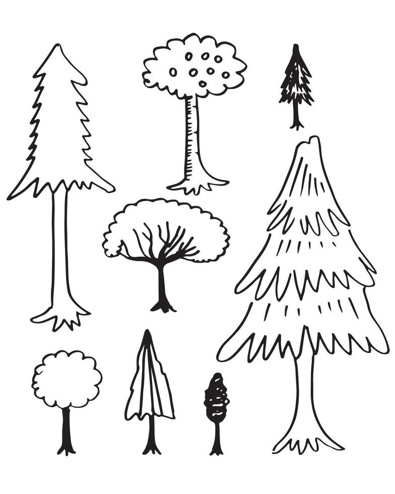 doodle park wald nadelbaum abstrakte silhouetten umrissene bäume im schwarzen farbsammlungssatz vektor