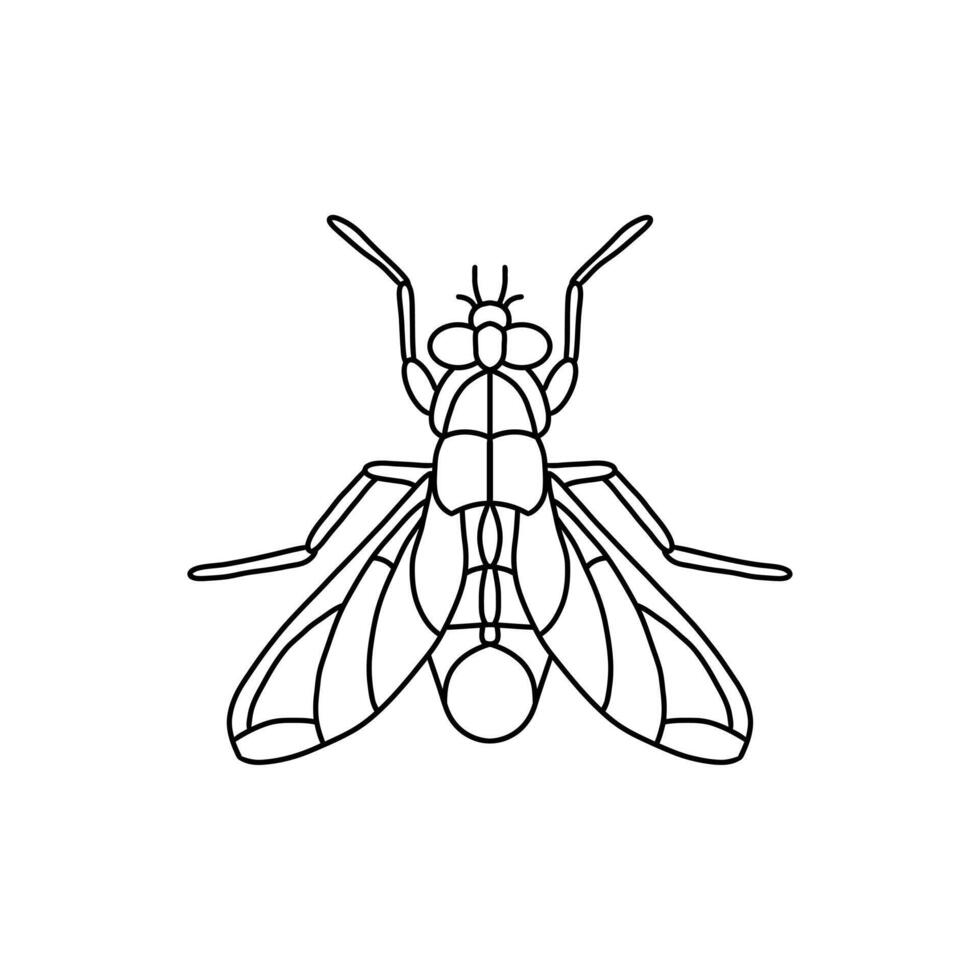 fliegen Insekt Gliederung Symbol.Fliegen Linie Kunst Illustration. Gekritzel Linie Grafik Design. schwarz und Weiß Zeichnung Insekt. vektor