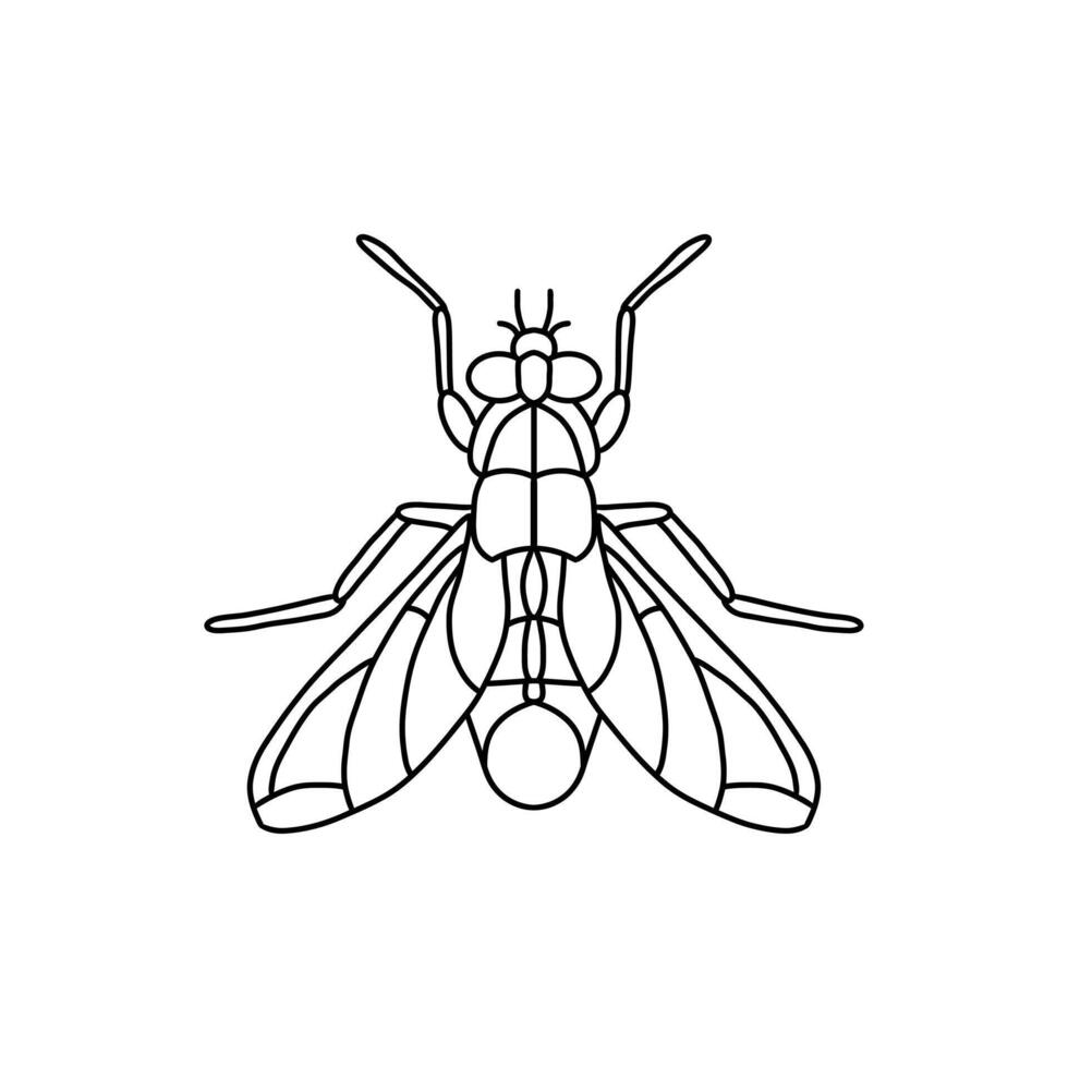 flyga insekt översikt icon.fly linje konst illustration. klotter linje grafisk design. svart och vit teckning insekt. vektor