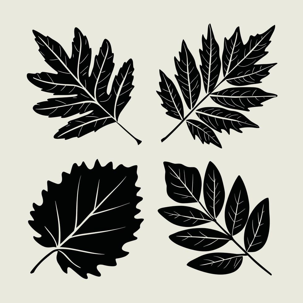 aska träd blad. linjär illustration. översikt, silhuett, linje konst teckning isolerat på vit bakgrund vektor