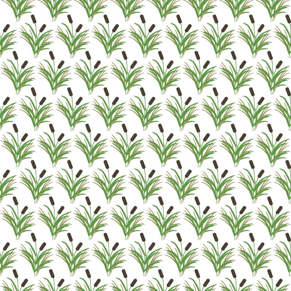 Sumpf Schilf, einfach Gras. nahtlos Muster. Illustration. vektor