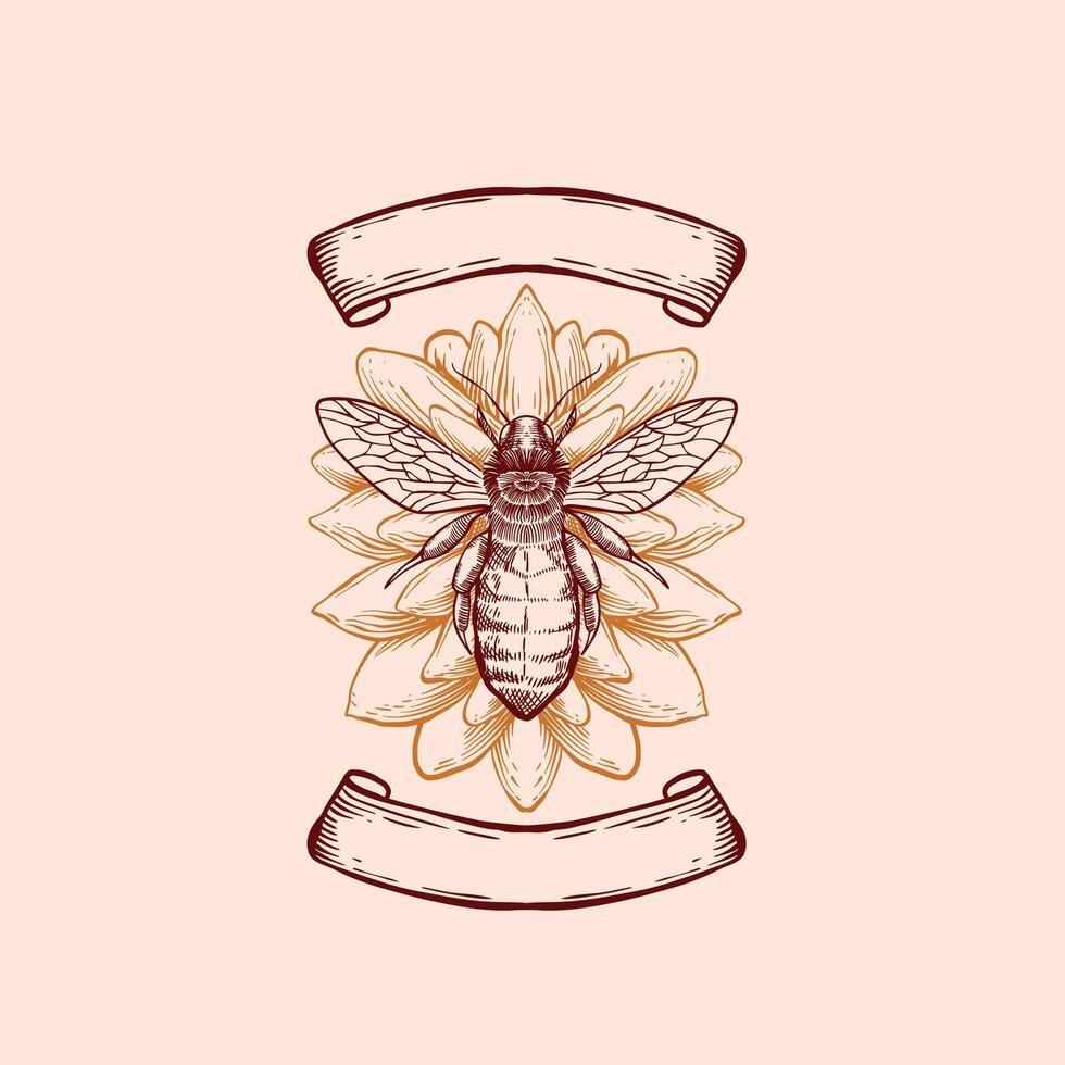 Honig Biene Zeichnung Gravur Illustration vektor