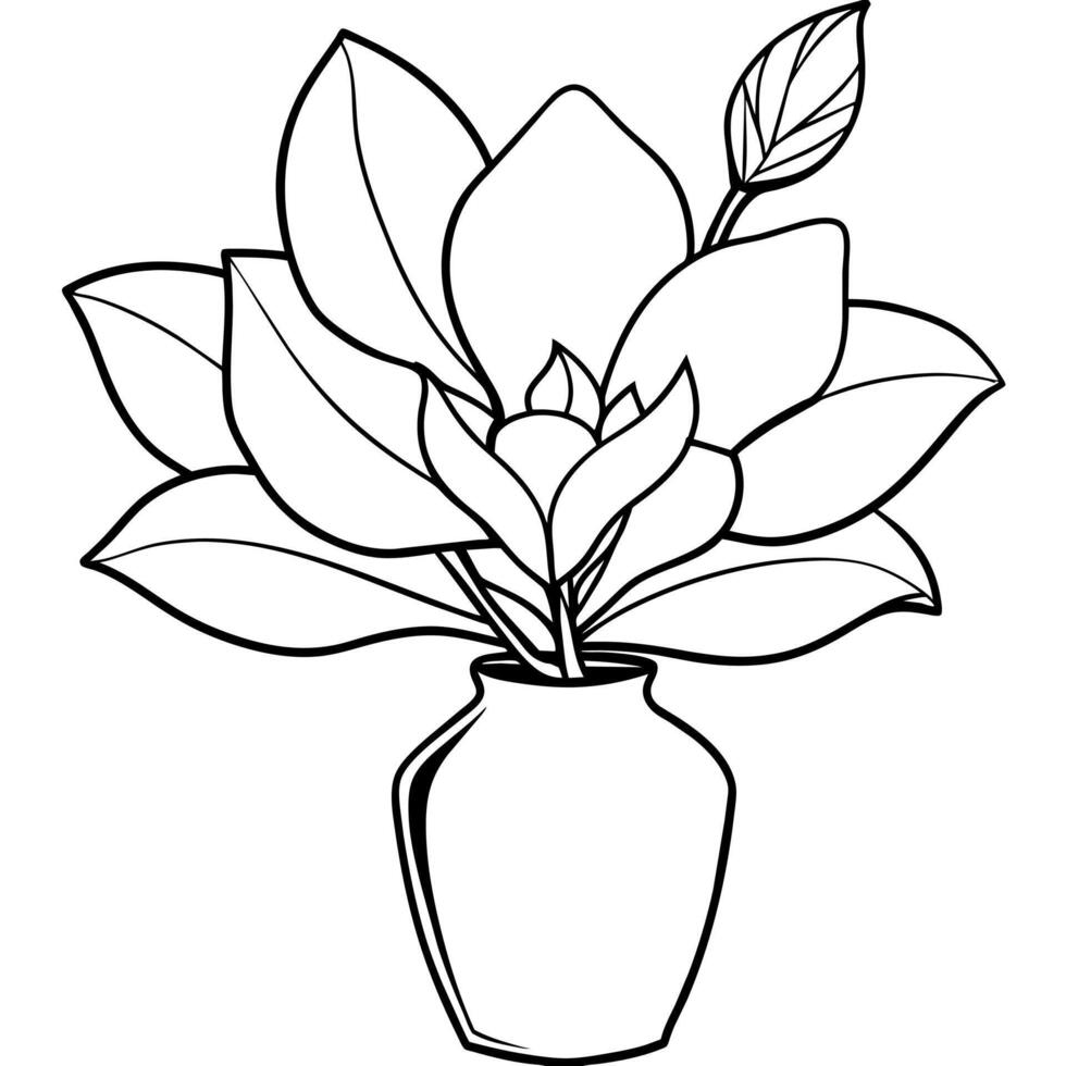 Magnolie Blume Gliederung Illustration Färbung Buch Seite Design, Magnolie Blume schwarz und Weiß Linie Kunst Zeichnung Färbung Buch Seiten zum Kinder und Erwachsene vektor