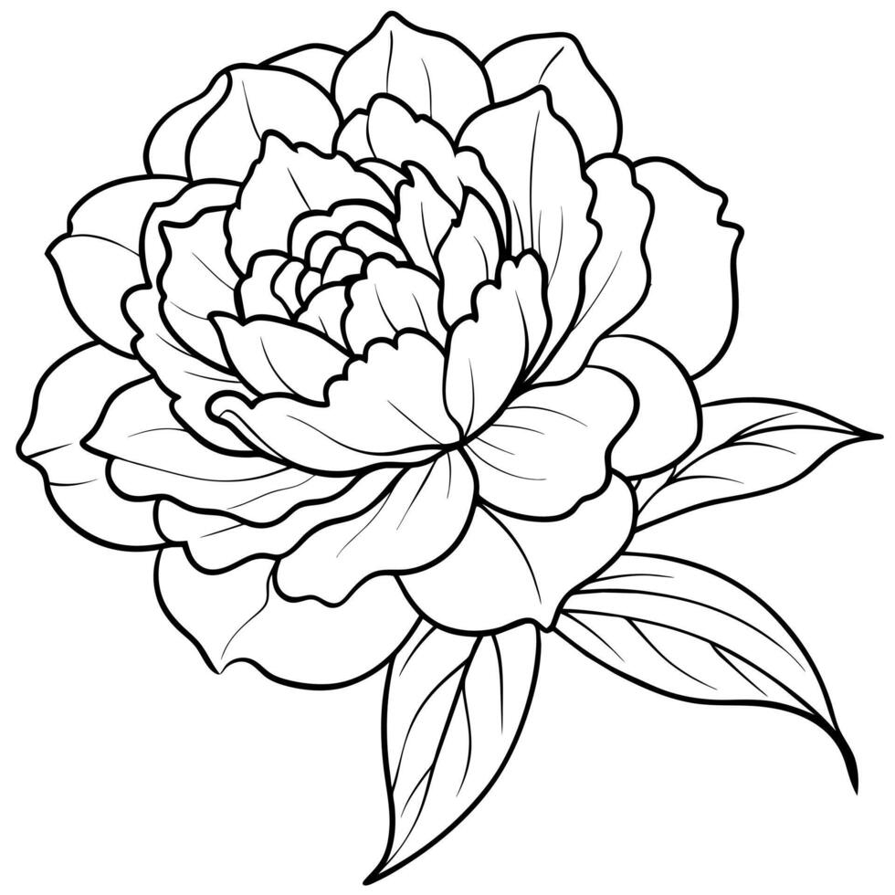 pion blomma översikt illustration färg bok sida design, pion blomma svart och vit linje konst teckning färg bok sidor för barn och vuxna vektor