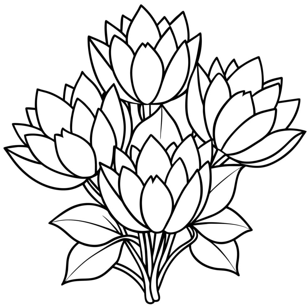 Lotus Blume Gliederung Illustration Färbung Buch Seite Design, Lotus Blume schwarz und Weiß Linie Kunst Zeichnung Färbung Buch Seiten zum Kinder und Erwachsene vektor