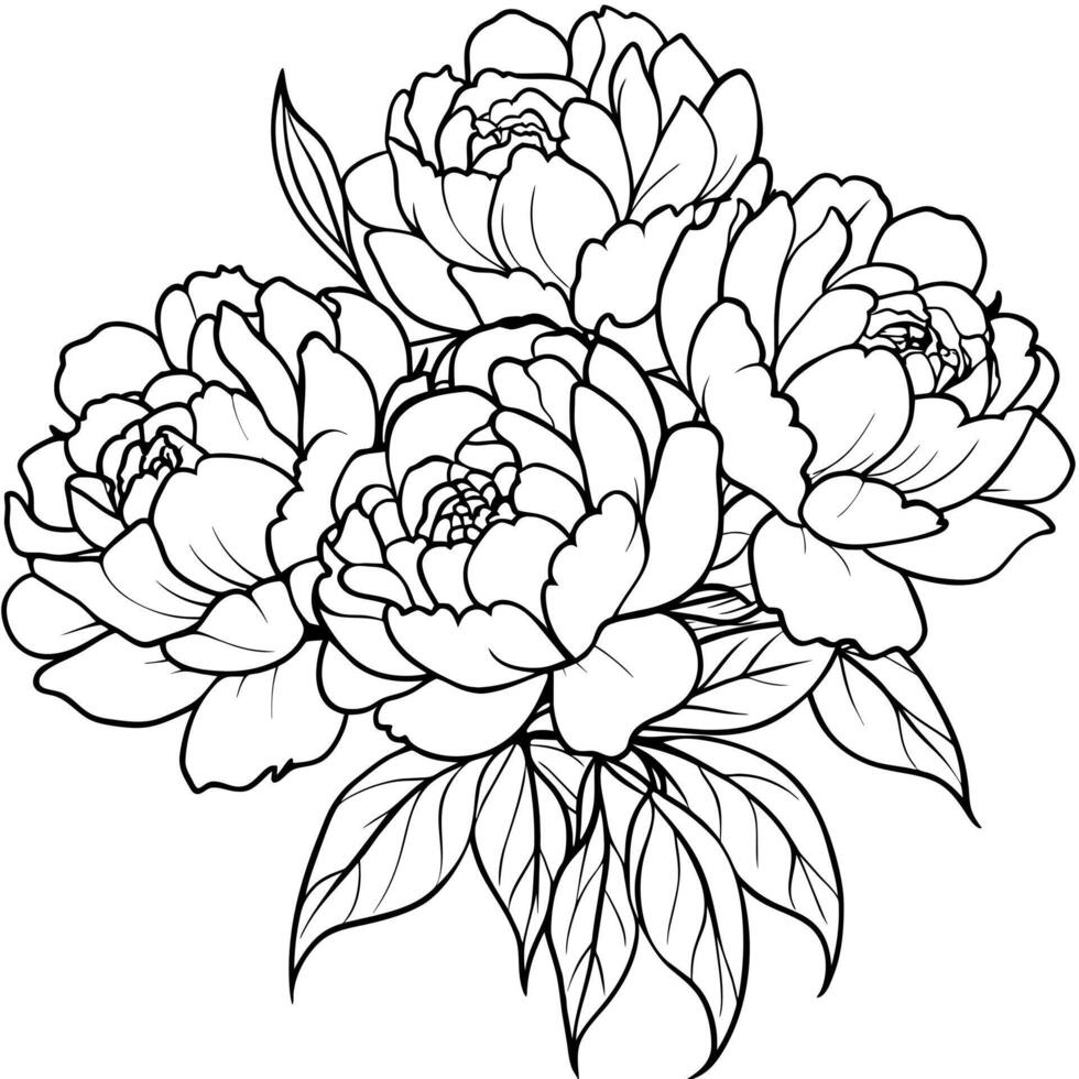 pion blomma översikt illustration färg bok sida design, pion blomma svart och vit linje konst teckning färg bok sidor för barn och vuxna vektor