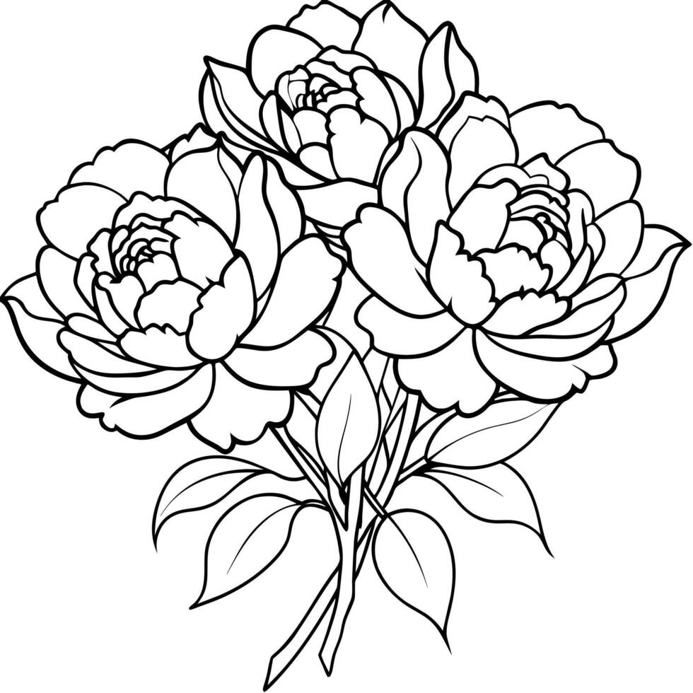 pion blomma översikt illustration färg bok sida design, pion blomma svart och vit linje konst teckning färg bok sidor för barn och vuxna vektor