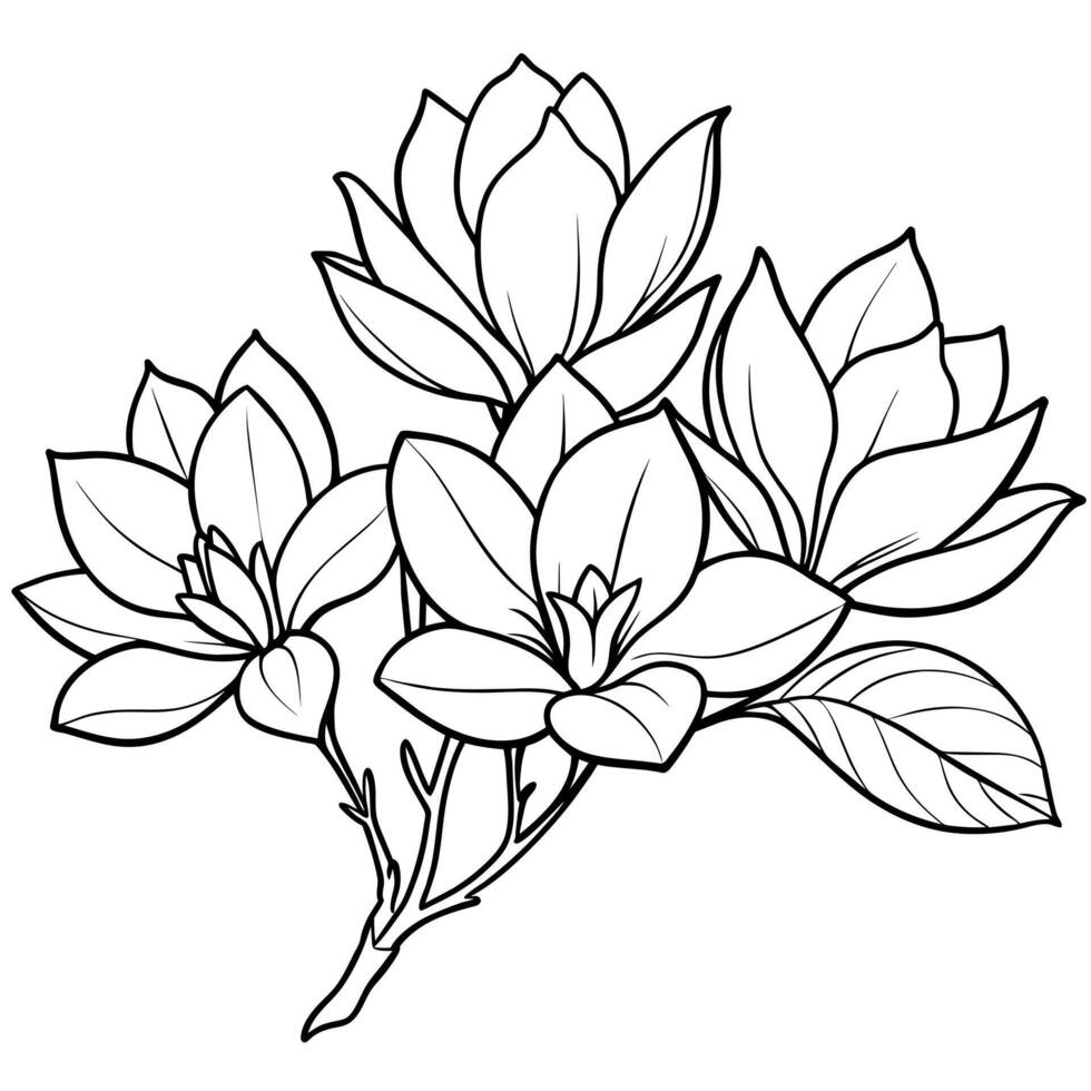 Magnolie Blume Gliederung Illustration Färbung Buch Seite Design, Magnolie Blume schwarz und Weiß Linie Kunst Zeichnung Färbung Buch Seiten zum Kinder und Erwachsene vektor