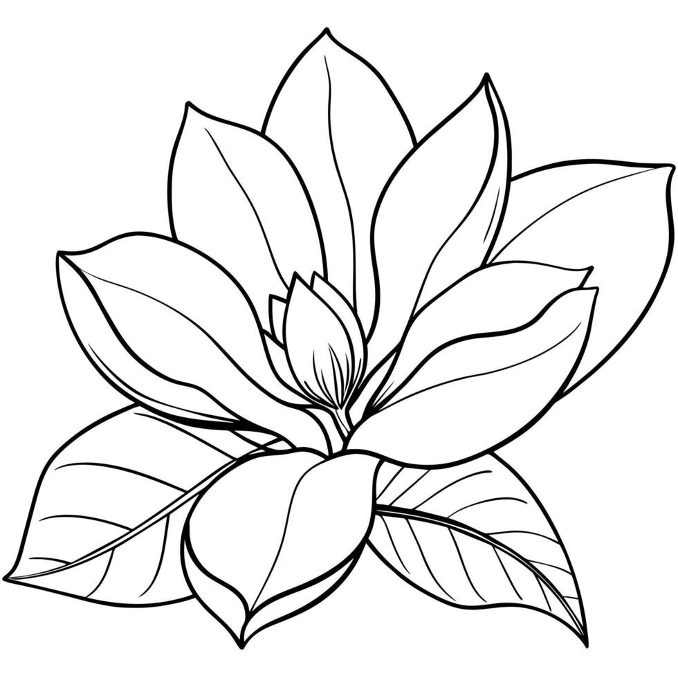 magnolia blomma översikt illustration färg bok sida design, magnolia blomma svart och vit linje konst teckning färg bok sidor för barn och vuxna vektor