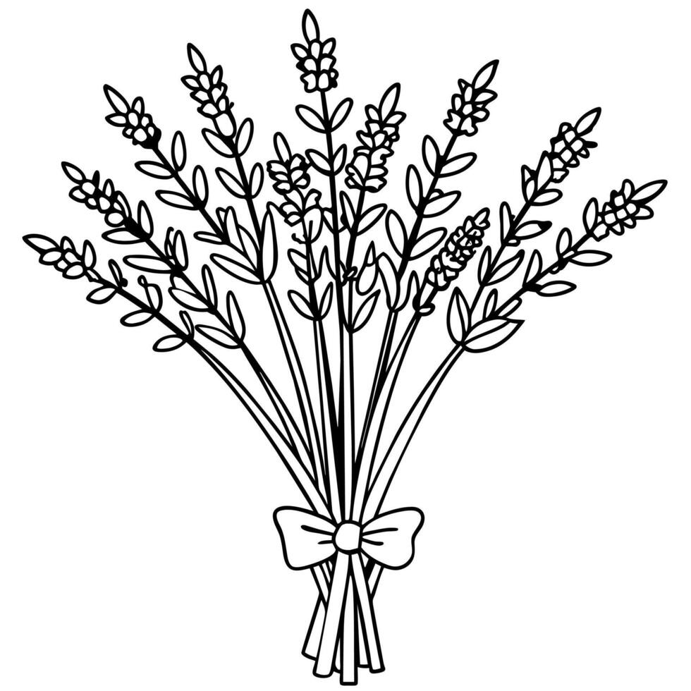 Lavendel Blume Gliederung Illustration Färbung Buch Seite Design, Lavendel schwarz und Weiß Linie Kunst Zeichnung Färbung Buch Seiten zum Kinder und Erwachsene vektor