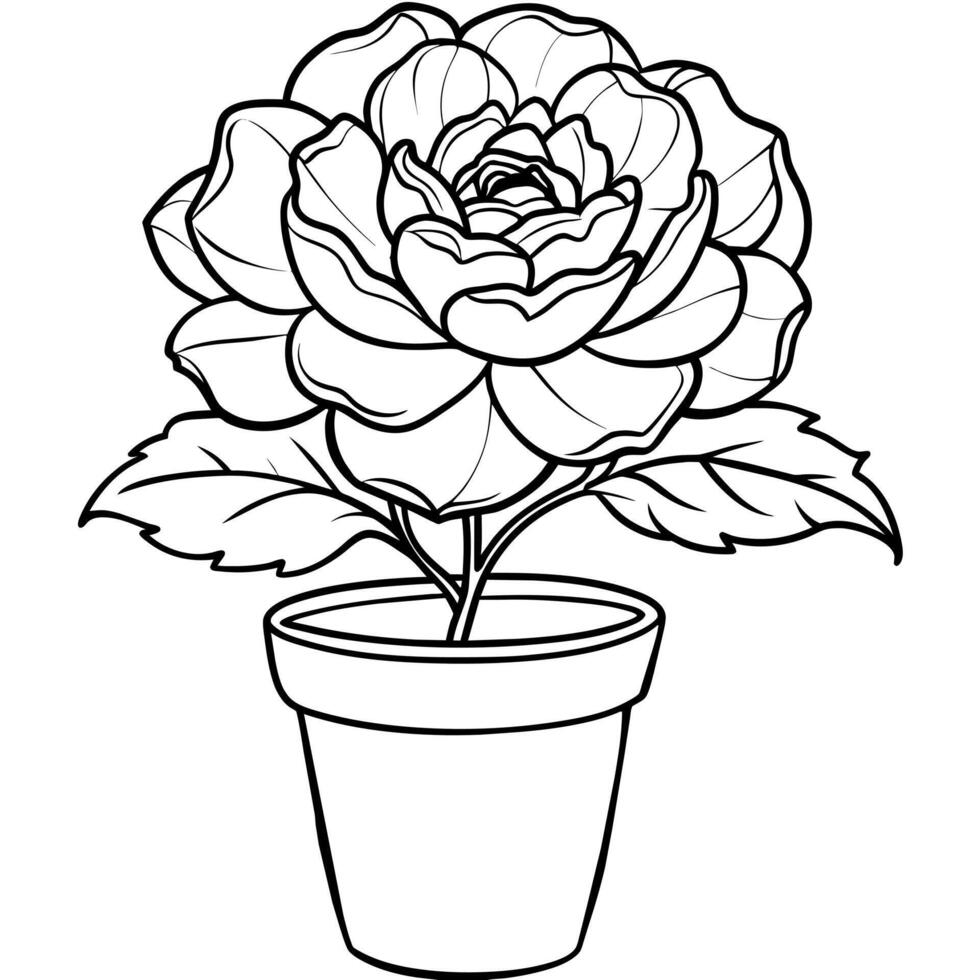 pion blomma översikt illustration färg bok sida design, pion blomma svart och vit linje konst teckning färg bok sidor för barn och vuxna vektor