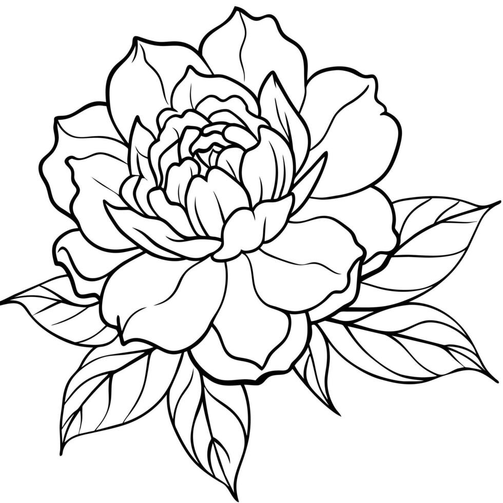 pion blomma översikt illustration färg bok sida design, pion blomma svart och vit linje konst teckning färg bok sidor för barn och vuxna vektor