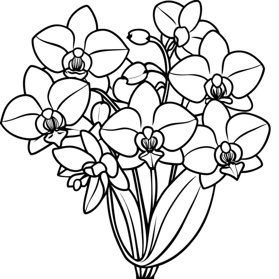 Orchidee Blume Gliederung Illustration Färbung Buch Seite Design, Orchidee Blume Strauß schwarz und Weiß Linie Kunst Zeichnung Färbung Buch Seiten zum Kinder und Erwachsene vektor