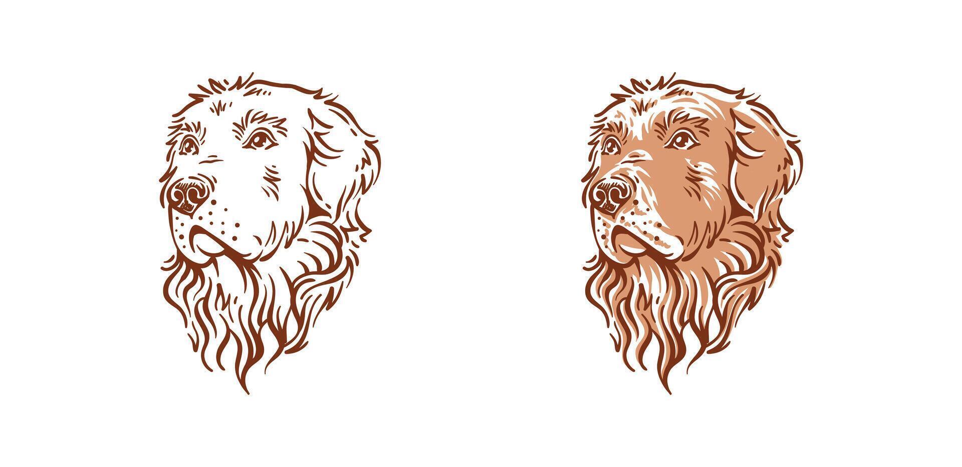 gut aussehend golden Retriever Hund Kopf Illustration Zeichnung Seite Aussicht Design vektor