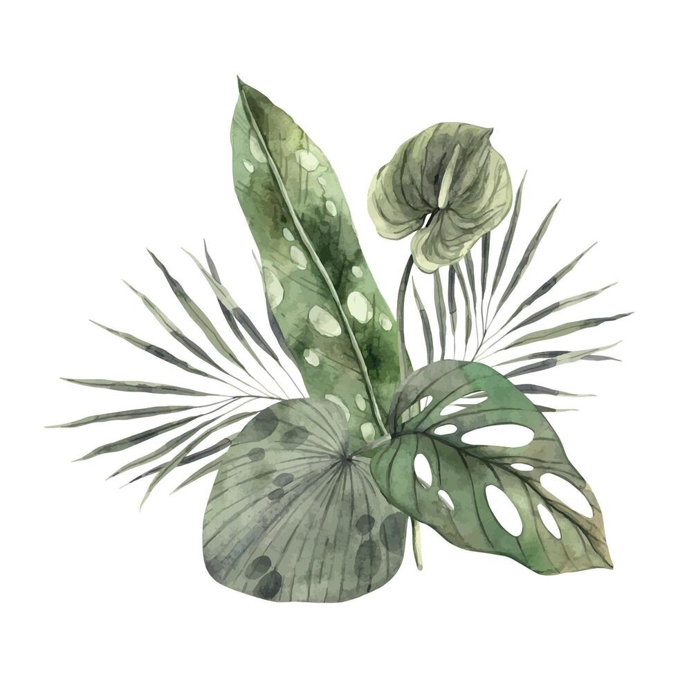 sammansättning av tropisk löv av fläkt handflatan, monstera, strelitzia och anthurium blomma. vattenfärg sammansättning dragen förbi hand. botanisk illustration för design av inbjudningar, kort, bröllop, högtider vektor