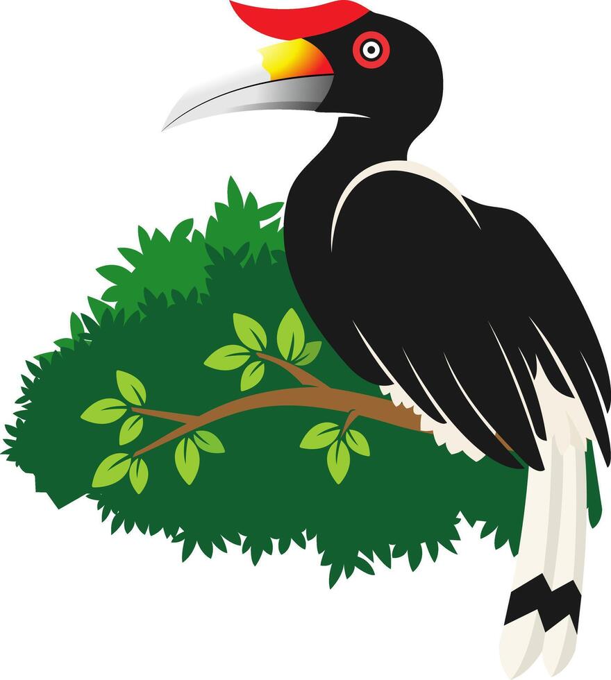 Näshornsfågel illustration vektor