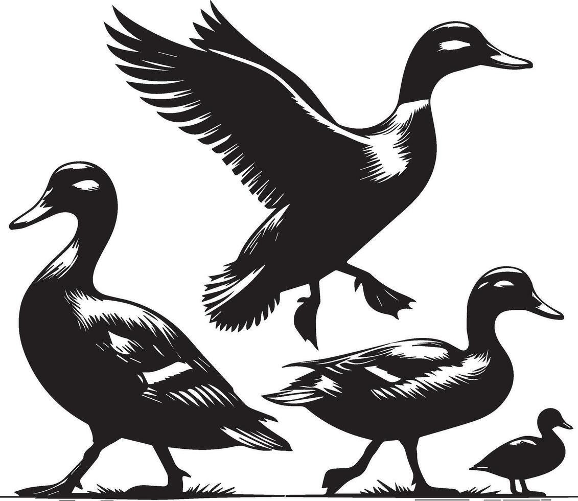 Ente Silhouette auf Weiß Hintergrund. Ente fliegend Illustration vektor