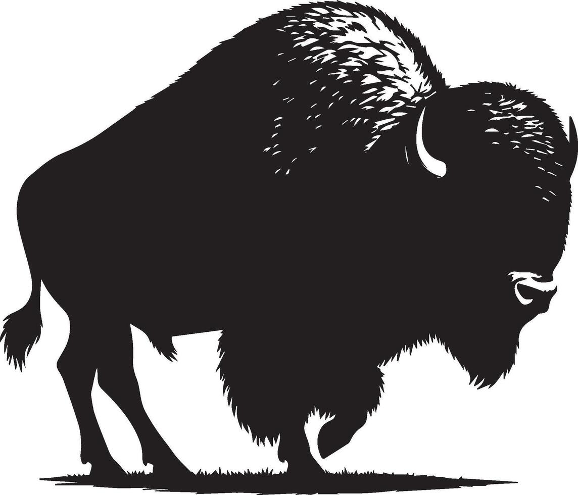 Bison Silhouette isoliert auf Weiß Hintergrund. Kuh Logo vektor