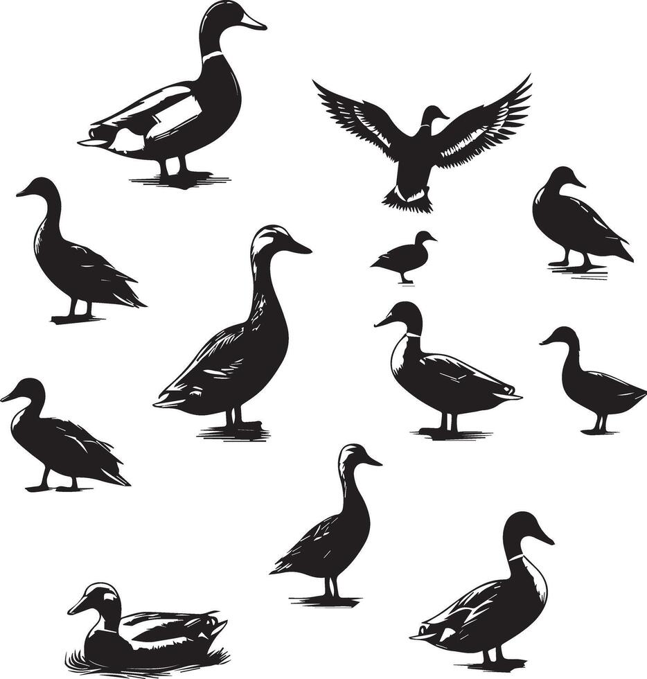 Ente Silhouette auf Weiß Hintergrund. Ente fliegend Illustration vektor