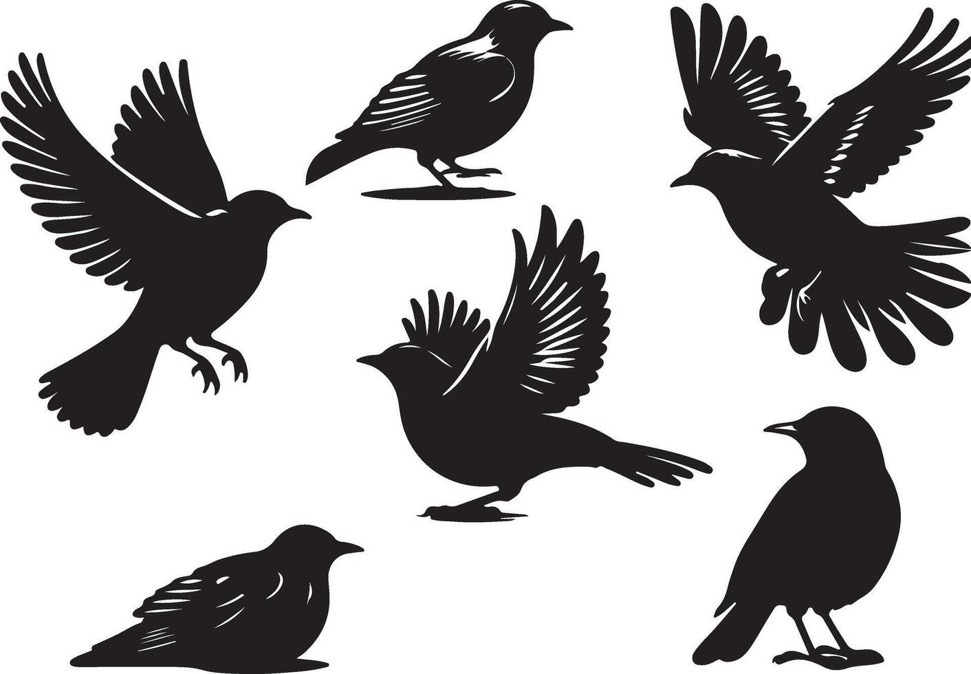 Vögel einstellen Schwarz, Weiß Hintergrund vektor