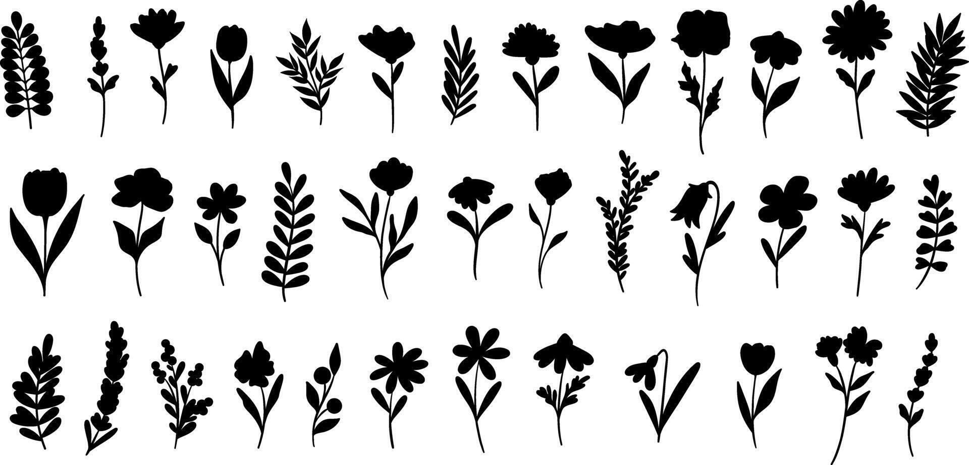 Pflanze Silhouetten, Hand gezeichnet Blume und Blatt Elemente, isoliert Clip Kunst einstellen vektor