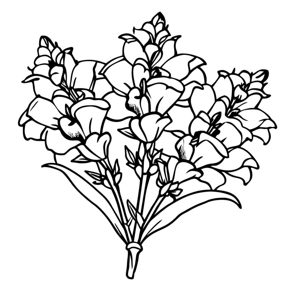 lejongap blomma översikt illustration färg bok sida design, lejongap blomma svart och vit linje konst teckning färg bok sidor för barn och vuxna vektor