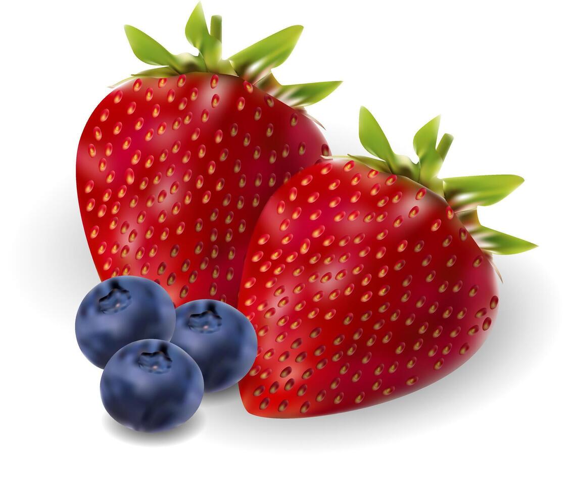 jordgubb och björnbär bär realistisk uppsättning. 3d bär illustration. färsk frukt isolerat på vit bakgrund. vektor