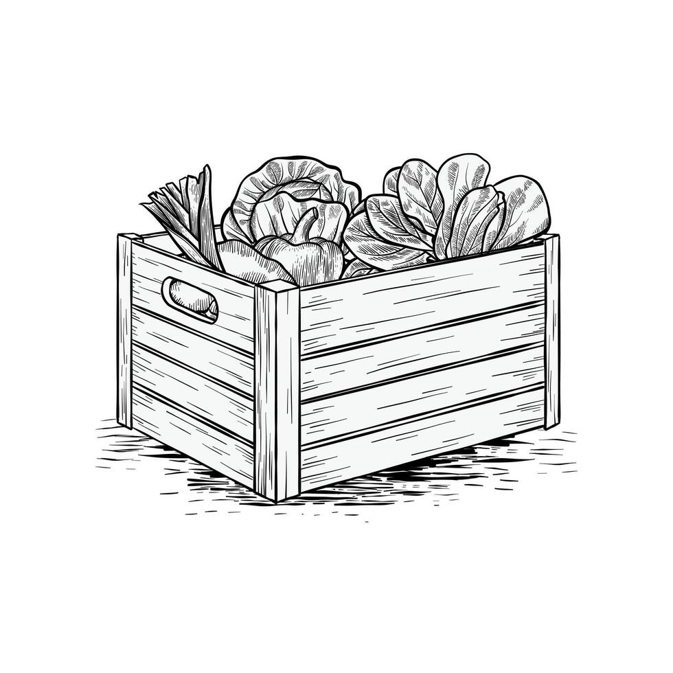 hand dragen vegetabiliska trä- låda och vegetabiliska samling illustration vektor