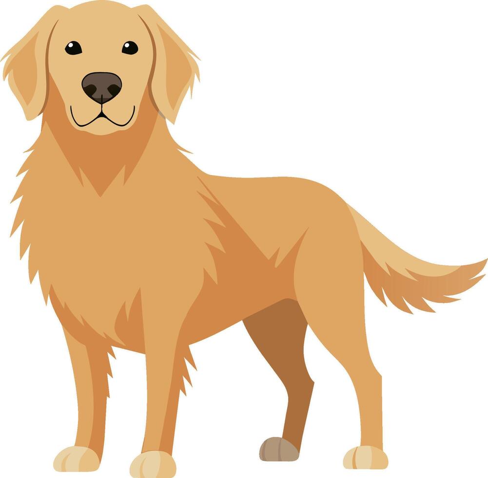 illustration av en gyllene retriever hund vektor