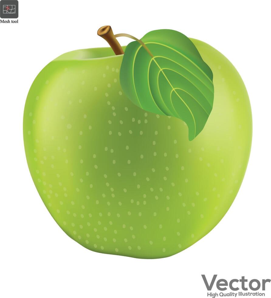 Grün frisch Apfel isoliert auf Weiß Hintergrund. vektor