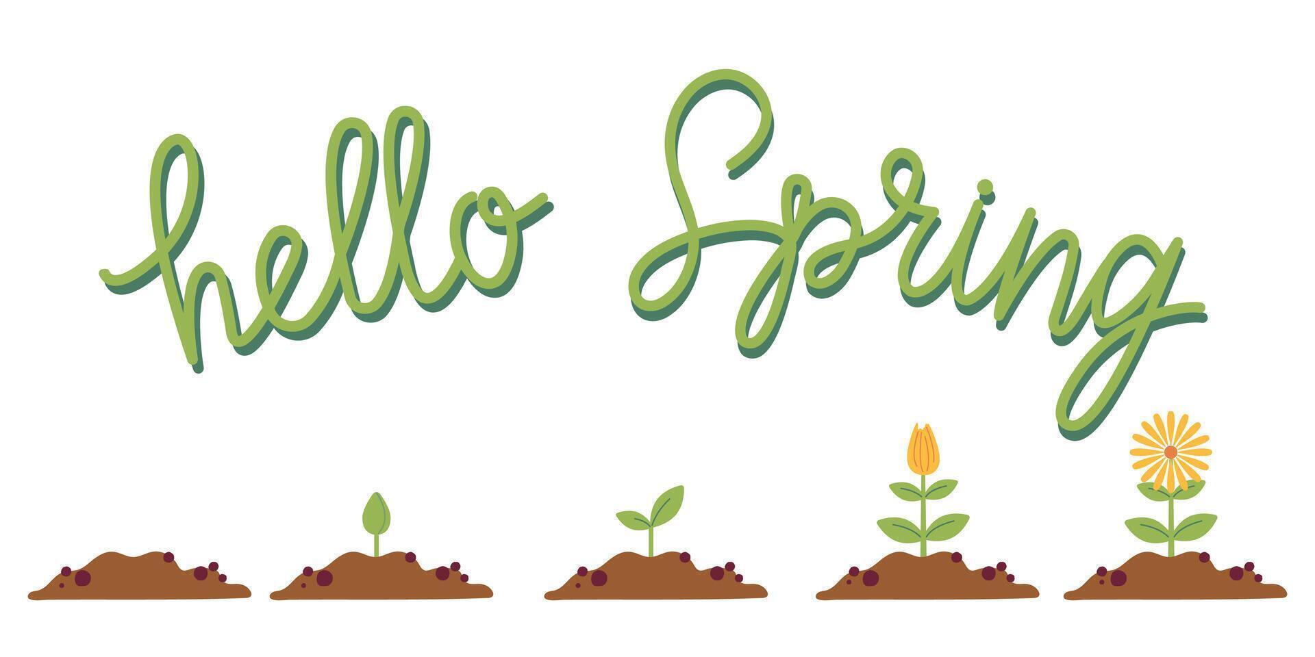 Blume Leben Zyklus. Wachstum Stufen von Samen zu Blüte. Hallo Frühling Beschriftung. eben bunt Illustration zum Karte, Einladung, Banner, Aufkleber, Poster. vektor