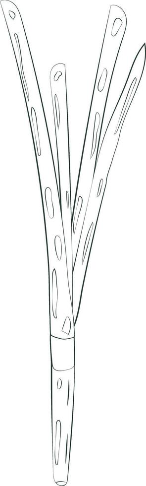 skiss hackad lök element gräslök illustration grafisk element konst kort vektor