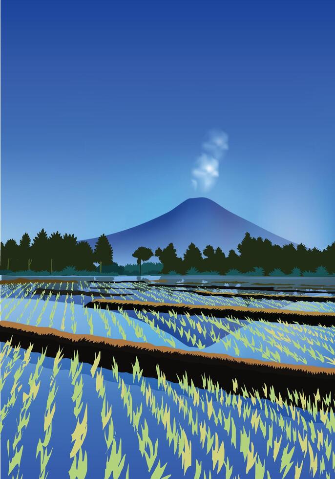 Paddy Samen Feld mit Blau Berg reflektiert auf das Wasser. Blau Himmel Landschaft zum Hintergrund Design. vektor