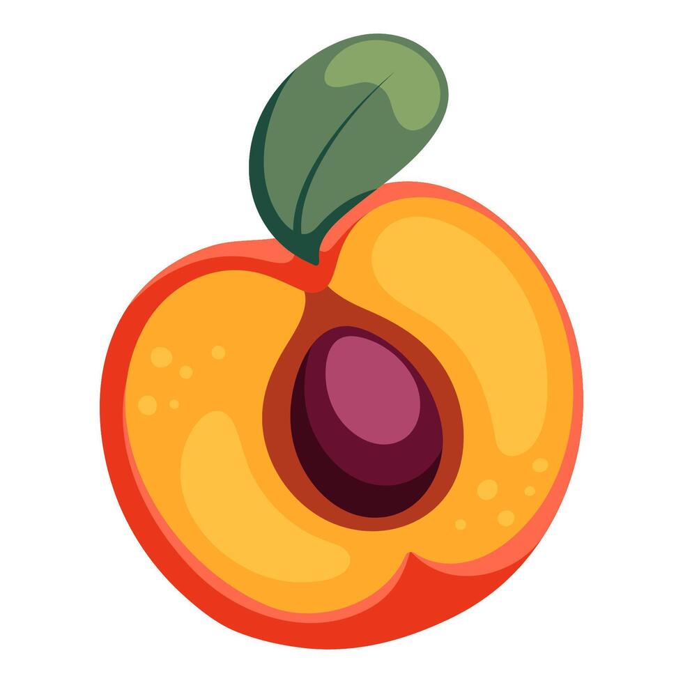 Hälfte von ein Pfirsich einfach Illustration. reif saftig Frucht. hell Karikatur eben Clip Art vektor
