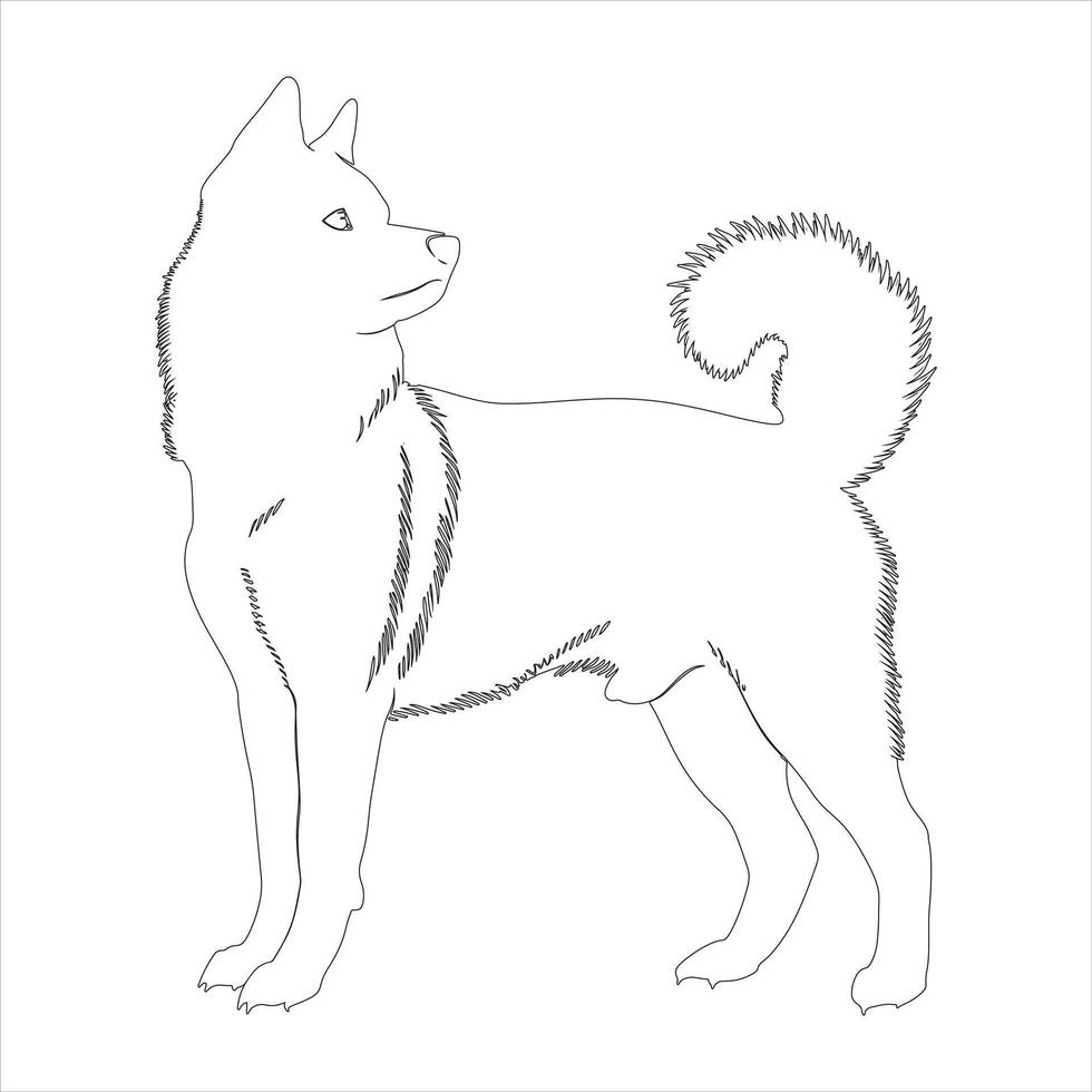 Hand gezeichnet Hund Gliederung Illustration vektor