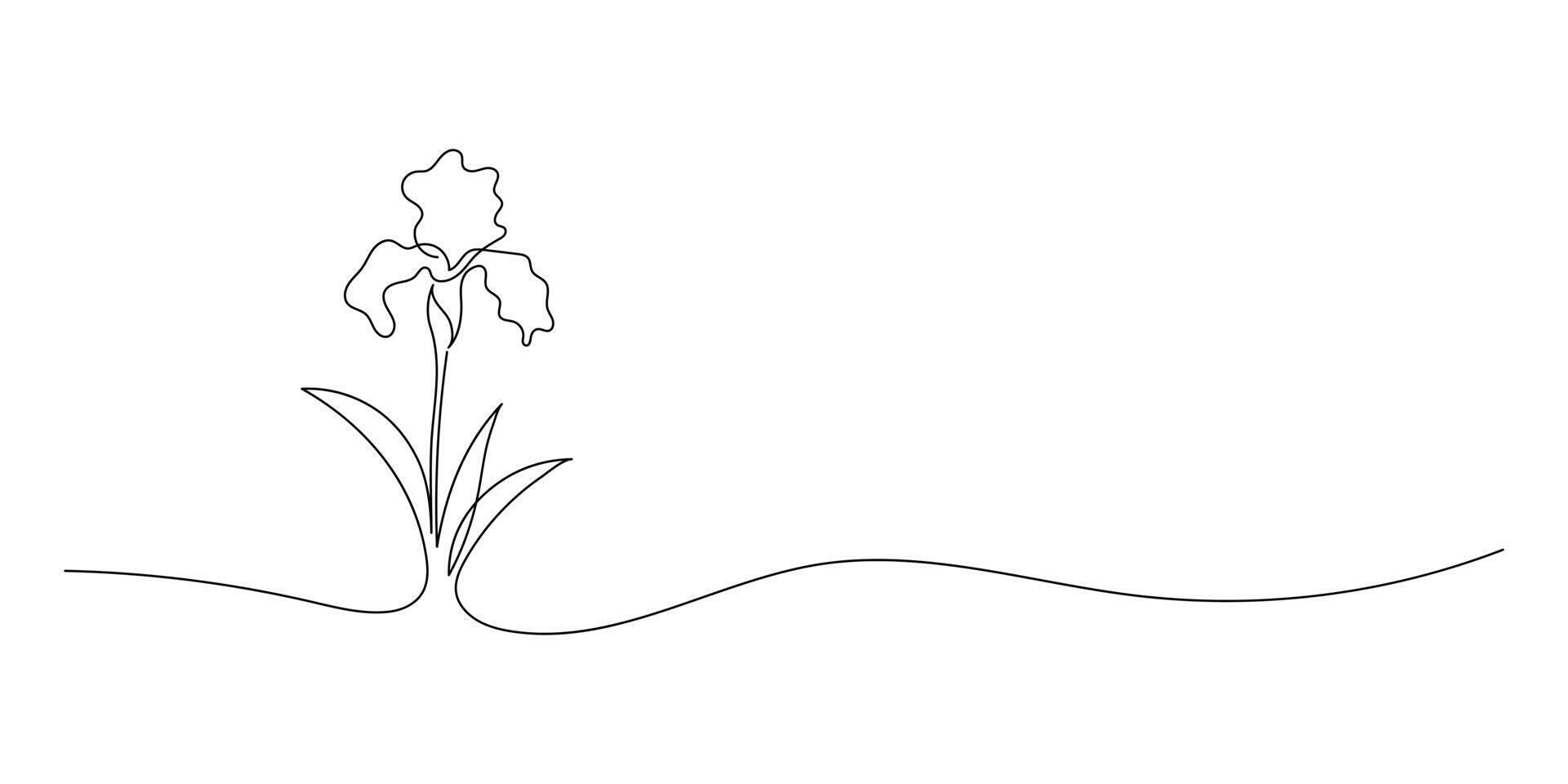 isoliert Narzissen Blumen blühen Kontur Linie farblos schwarz und Weiß Zeichnung auf Weiß Hintergrund. das minimalistisch Linie von das Nerd. Grafik von Romantik vektor