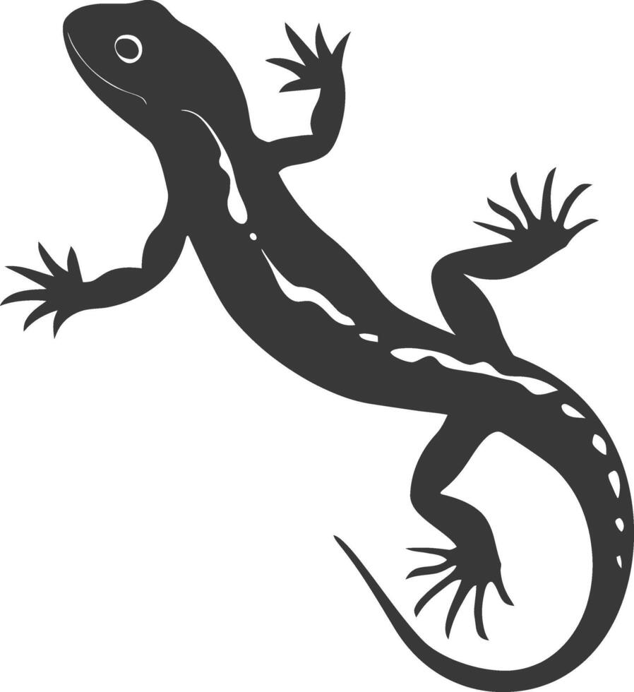 Silhouette Salamander Tier schwarz Farbe nur vektor